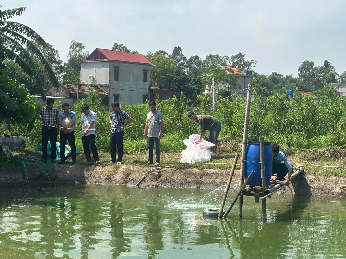 Nuôi cá chạch đồng trong ao đất ở Ninh Bình: Mỗi vụ 4–5 tháng, năng suất tới 30 tấn/ha Nuôi cá chạch đồng trong ao đất ở Ninh Bình: Mỗi vụ 4–5 tháng, năng suất tới 30 tấn/ha