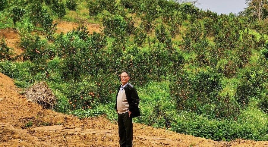 Cam sành Măng Đen, vị ngọt giữa vùng cao nguyên  huyền thoại