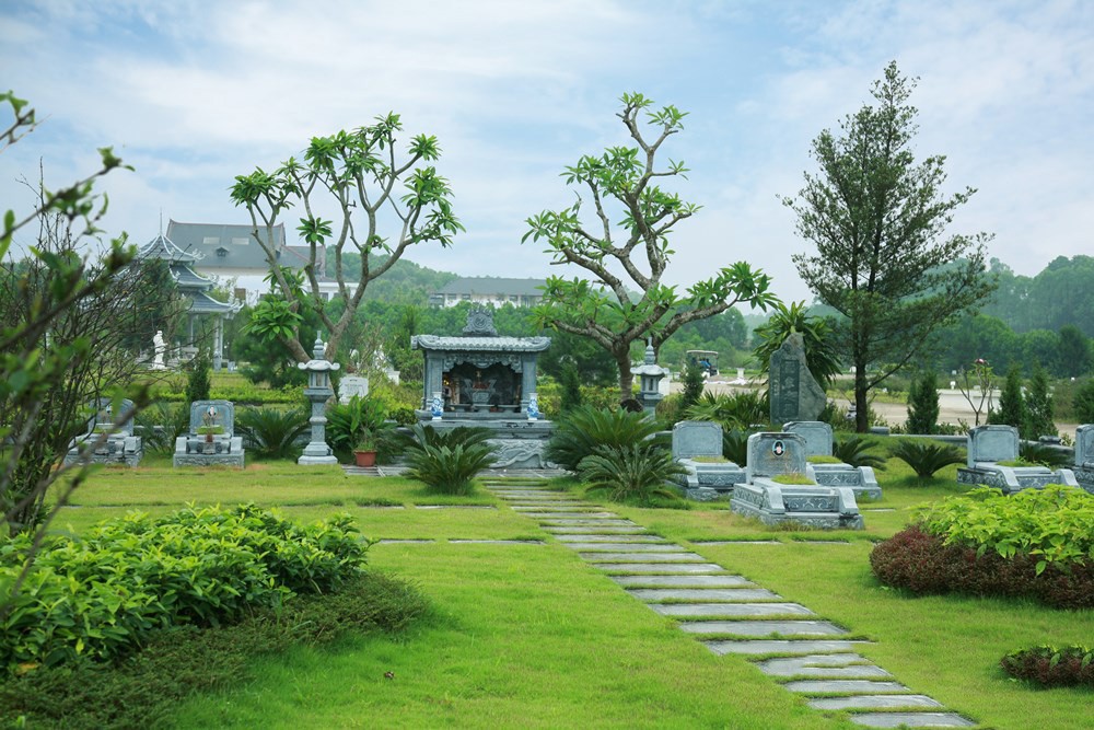 10 loại cây phong thủy nên trồng bên mộ tổ tiên để giữ phúc, tụ lộc cho con cháu 10 loại cây phong thủy nên trồng bên mộ tổ tiên để giữ phúc, tụ lộc cho con cháu