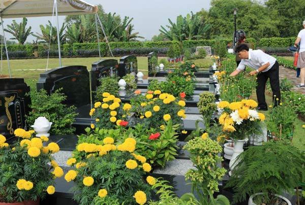 10 loại cây phong thủy nên trồng bên mộ tổ tiên để giữ phúc, tụ lộc cho con cháu 10 loại cây phong thủy nên trồng bên mộ tổ tiên để giữ phúc, tụ lộc cho con cháu