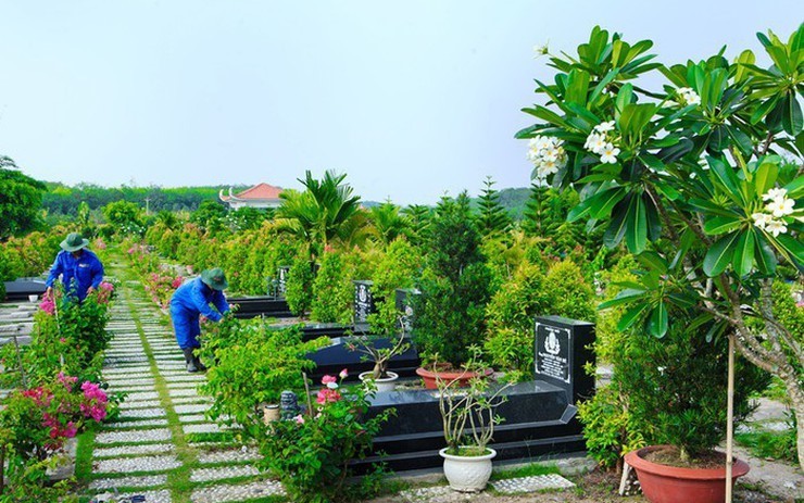 10 loại cây phong thủy nên trồng bên mộ tổ tiên để giữ phúc, tụ lộc cho con cháu 10 loại cây phong thủy nên trồng bên mộ tổ tiên để giữ phúc, tụ lộc cho con cháu