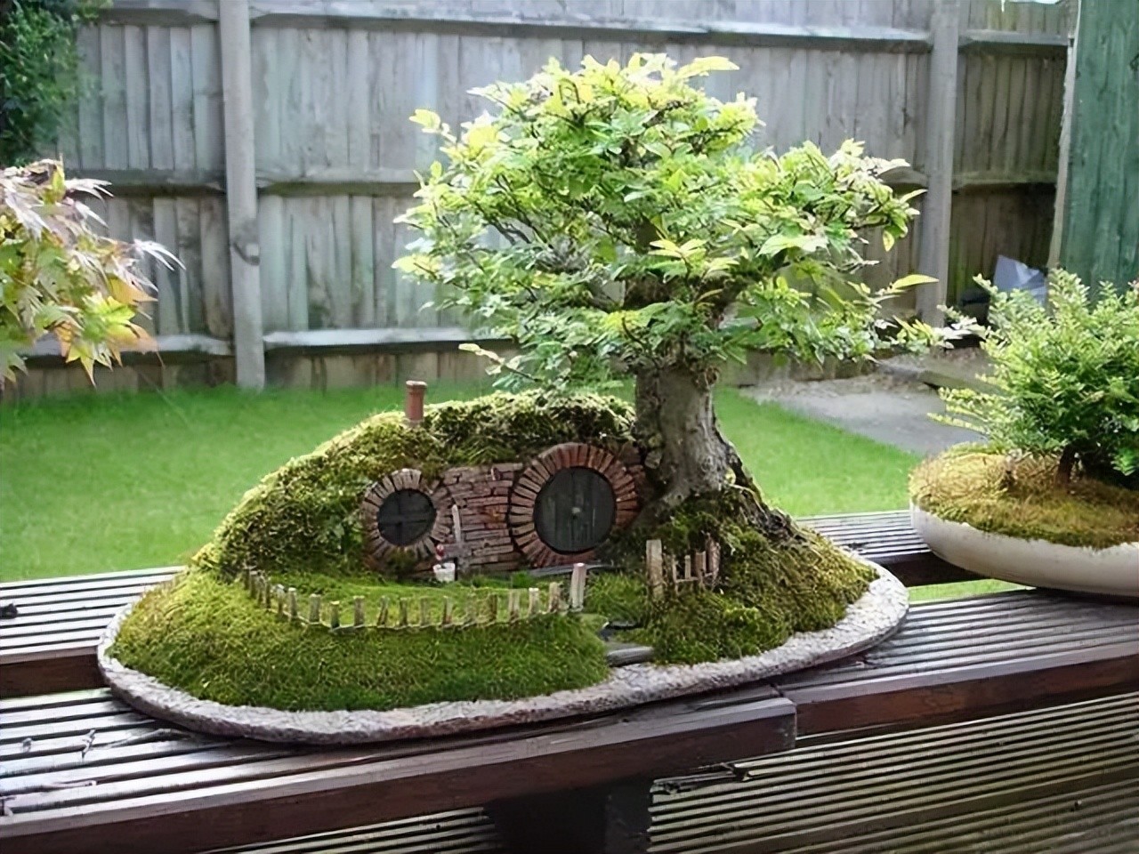 “Thu nhỏ đất trời” – sức hút đặc biệt của những tác phẩm bonsai “Thu nhỏ đất trời” – sức hút đặc biệt của những tác phẩm bonsai