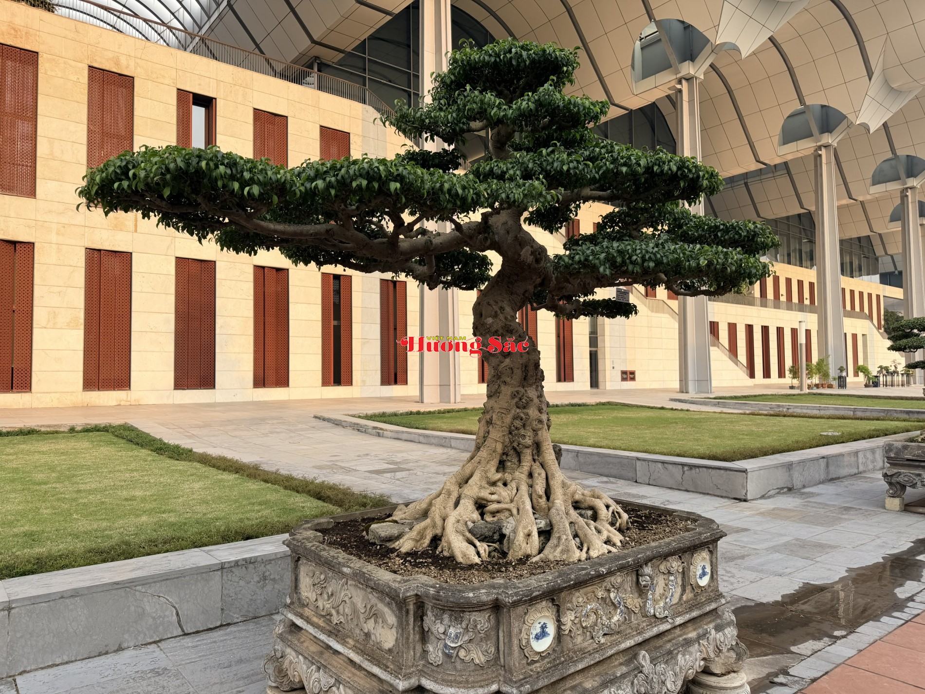 Hội Sinh vật cảnh Việt Nam triển khai trưng bày cây cảnh phục vụ Đại hội Thi đua yêu nước và Đại hội XIV của Đảng