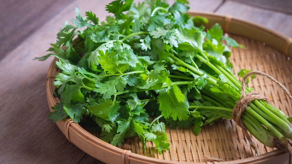 Dùng hàng ngày mà ít ai để ý: loại rau gia vị có thể giúp dễ ngủ hơn Dùng hàng ngày mà ít ai để ý: loại rau gia vị có thể giúp dễ ngủ hơn