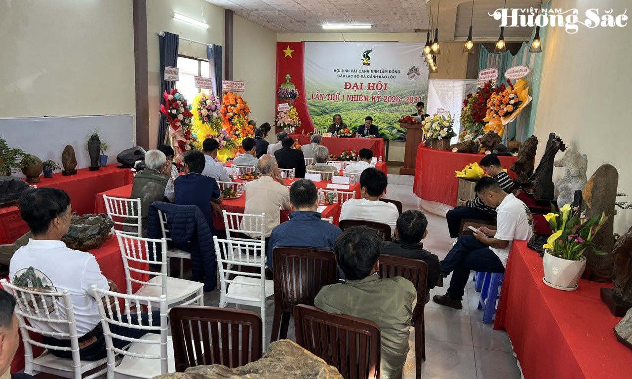 Đá cảnh Bảo Lộc: Từ phong trào tự phát đến hành trình chuyên nghiệp hóa Đá cảnh Bảo Lộc: Từ phong trào tự phát đến hành trình chuyên nghiệp hóa