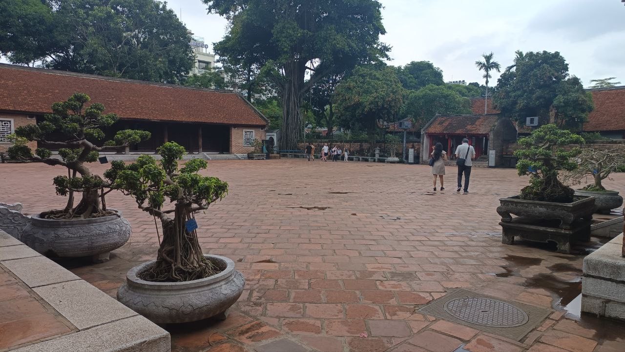 Định hướng bản sắc và phương pháp biểu đạt cho Bonsai Việt Nam trong bối cảnh hội nhập quốc tế
