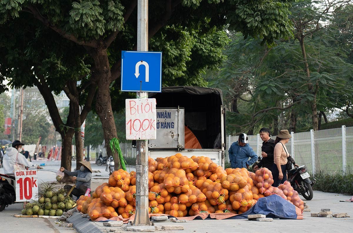 Bưởi Diễn trồng quanh Hà Nội rớt giá mạnh, bán theo bao trên vỉa hè chỉ vài nghìn đồng mỗi quả Bưởi Diễn trồng quanh Hà Nội rớt giá mạnh, bán theo bao trên vỉa hè chỉ vài nghìn đồng mỗi quả