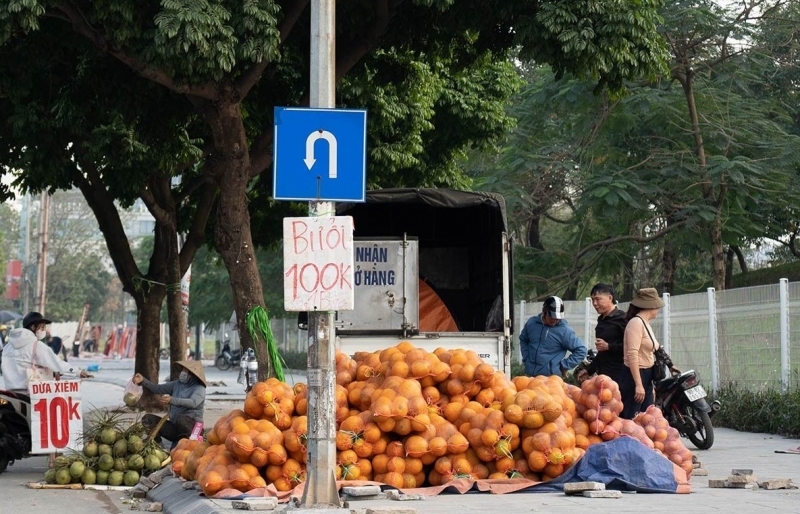 Bưởi Diễn trồng quanh Hà Nội rớt giá mạnh, bán theo bao trên vỉa hè chỉ vài nghìn đồng mỗi quả