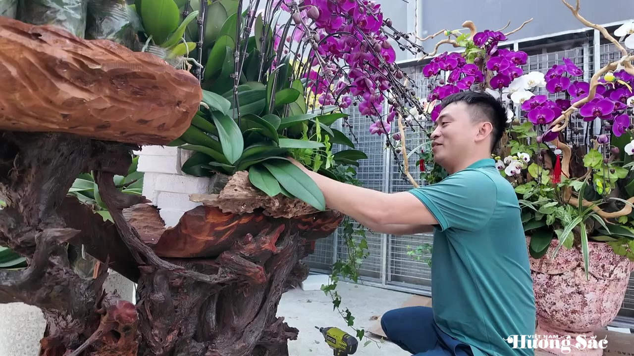 Lan ghép lũa gỗ ở Hà Tĩnh dịp Tết: Giá chục triệu vẫn bán chạy