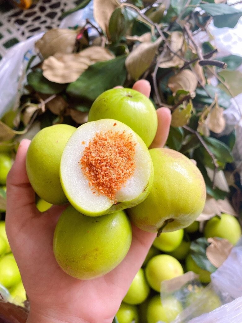 Loại quả ở Khánh Hòa được đánh giá “tốt nhất thế giới” hút khách dịp Tết
