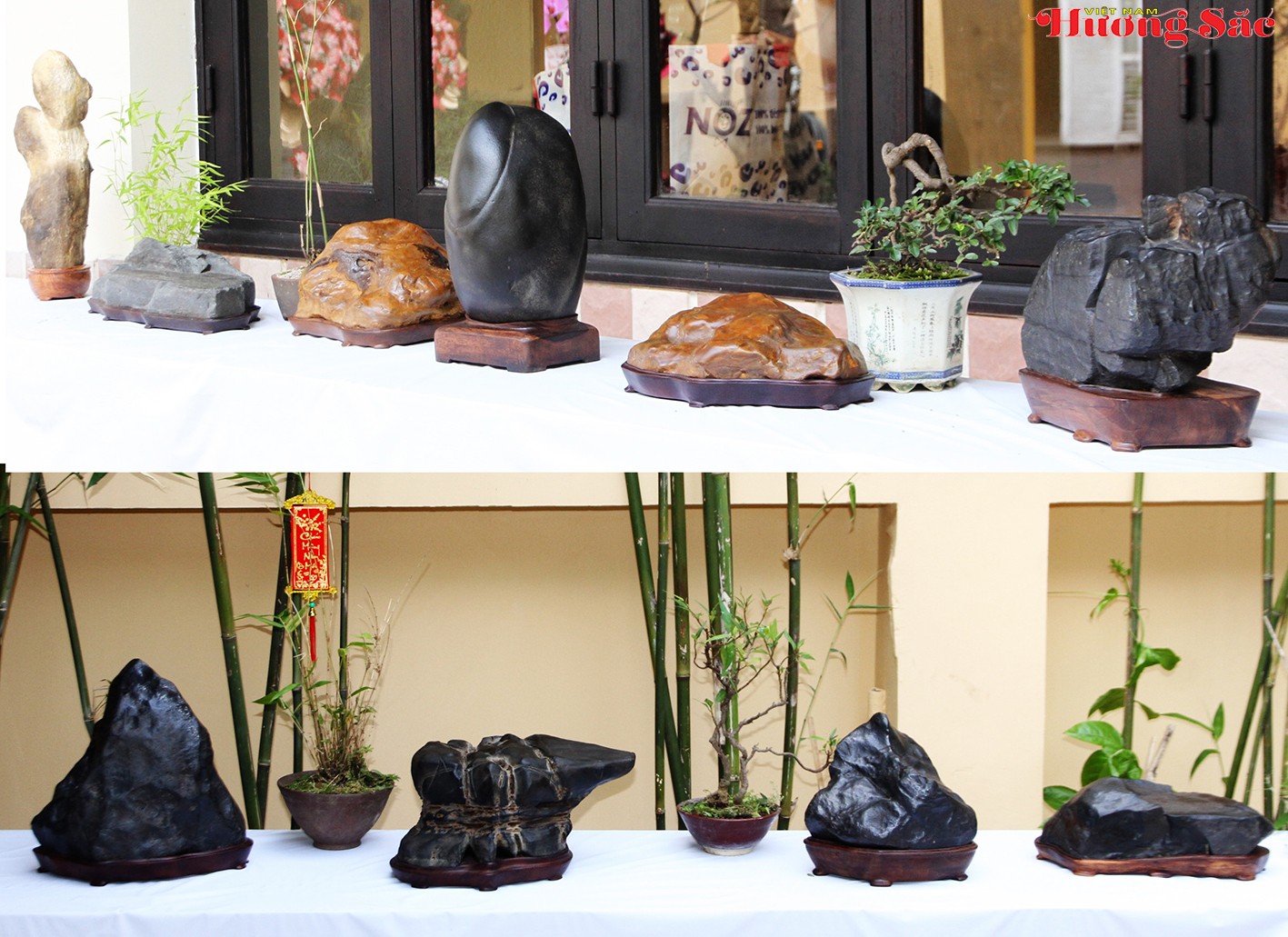 Farida Cafe: Nơi giao thoa giữa hơi thở nghệ thuật và nhịp sống Farida Cafe: Nơi giao thoa giữa hơi thở nghệ thuật và nhịp sống