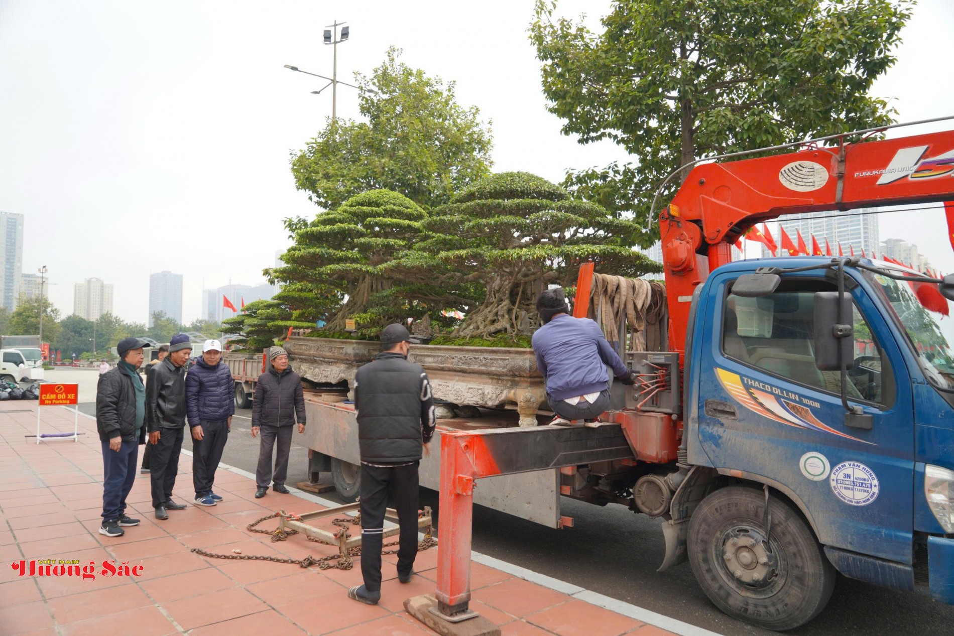 Bàn giao Cây cảnh nghệ thuật làm đẹp không gian Đại hội XIV Bàn giao Cây cảnh nghệ thuật làm đẹp không gian Đại hội XIV