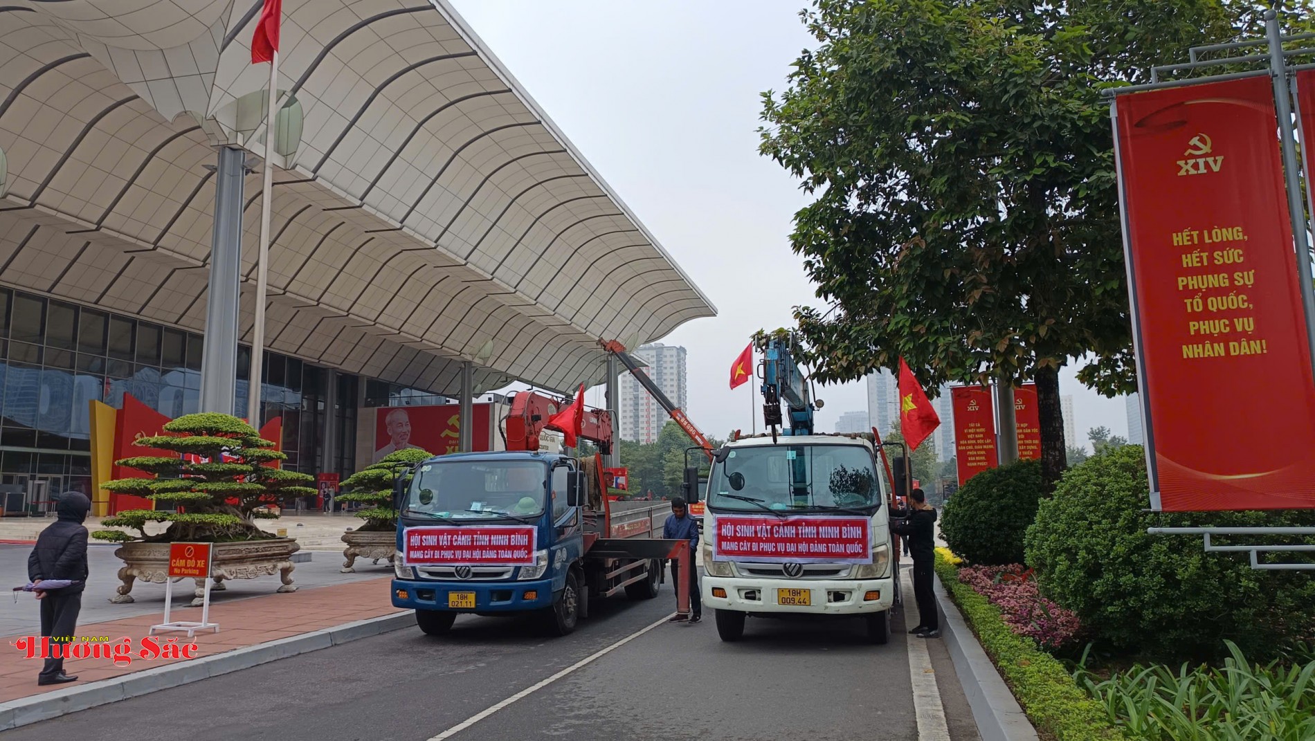 Bàn giao Cây cảnh nghệ thuật làm đẹp không gian Đại hội XIV Bàn giao Cây cảnh nghệ thuật làm đẹp không gian Đại hội XIV