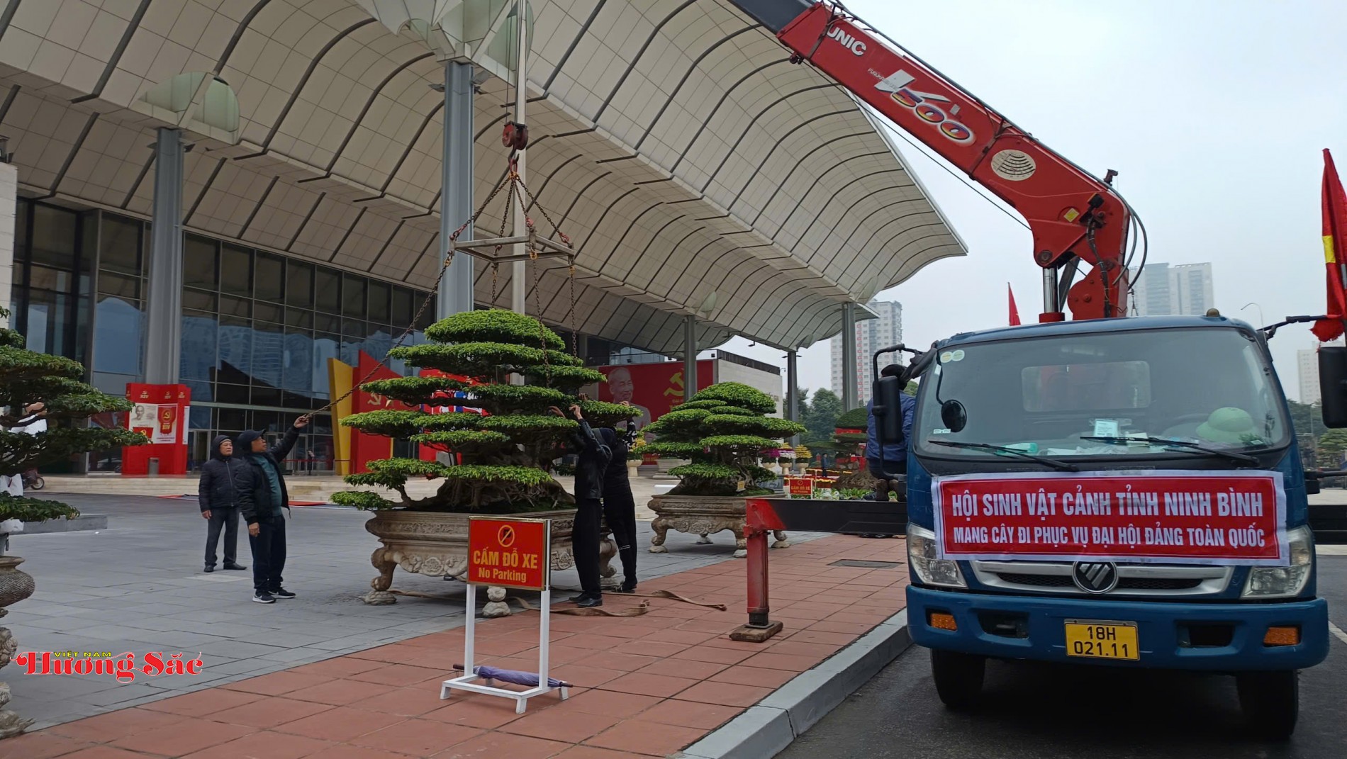 Bàn giao Cây cảnh nghệ thuật làm đẹp không gian Đại hội XIV Bàn giao Cây cảnh nghệ thuật làm đẹp không gian Đại hội XIV