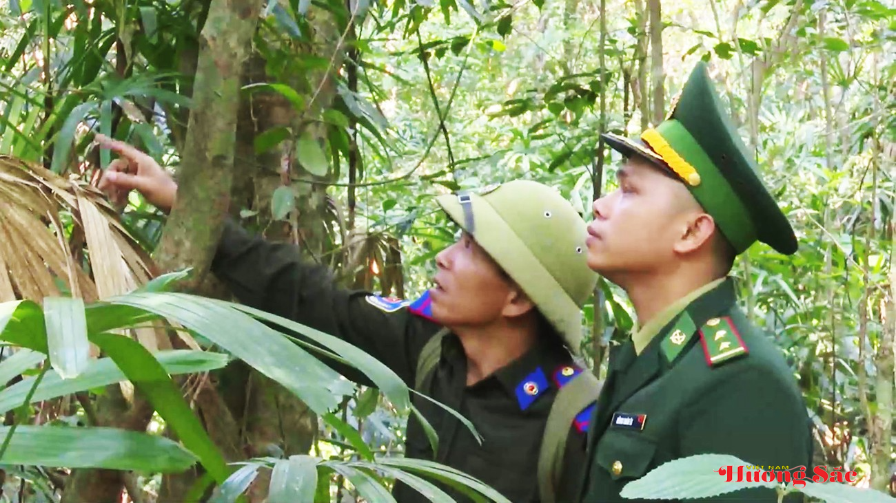 Hà Tĩnh: Giữ bình yên cho rừng trước, trong và sau Tết Nguyên đán