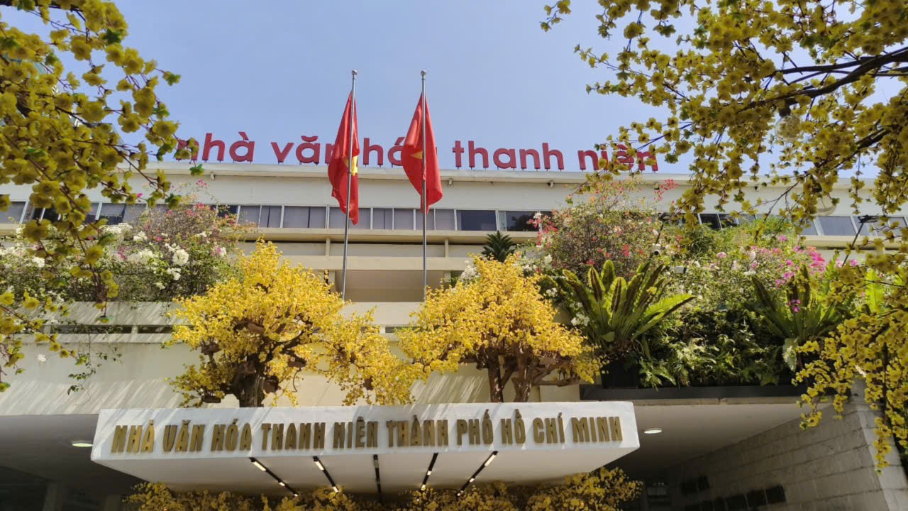 Những cành hoa mai rực rỡ điểm tô trong không gian Nhà văn hóa Thanh niên thành phố Những cành hoa mai rực rỡ điểm tô trong không gian Nhà văn hóa Thanh niên thành phố