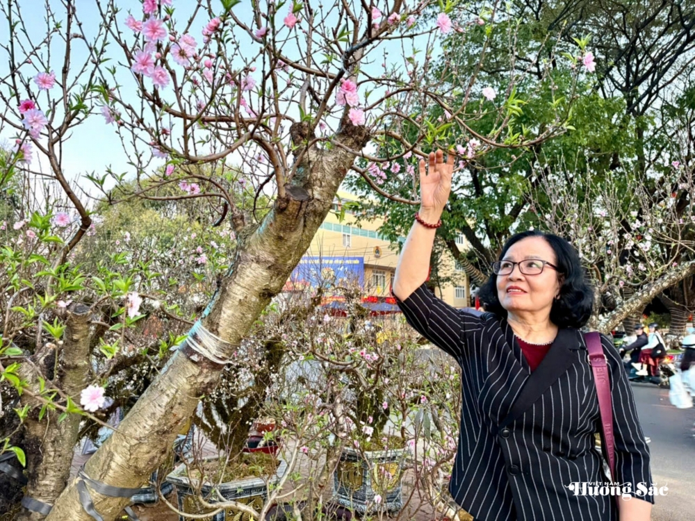 Đắk Lắk: Quảng trường 10/3 rộn ràng sắc xuân, nơi hội tụ hương sắc đất trời Đắk Lắk: Quảng trường 10/3 rộn ràng sắc xuân, nơi hội tụ hương sắc đất trời