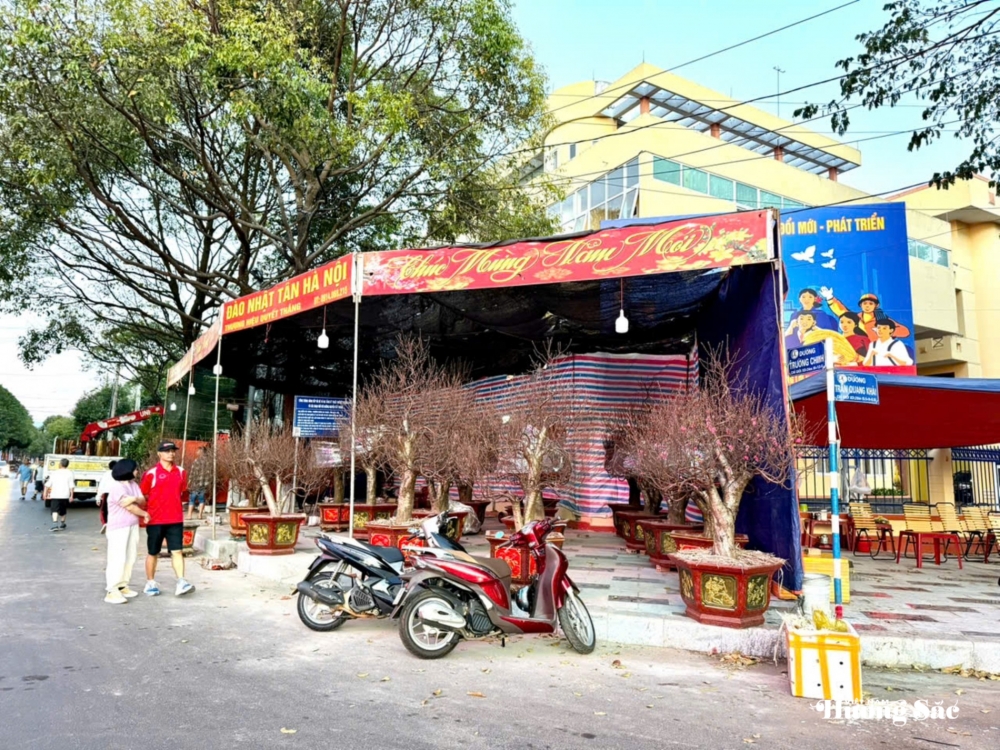 Đắk Lắk: Quảng trường 10/3 rộn ràng sắc xuân, nơi hội tụ hương sắc đất trời Đắk Lắk: Quảng trường 10/3 rộn ràng sắc xuân, nơi hội tụ hương sắc đất trời
