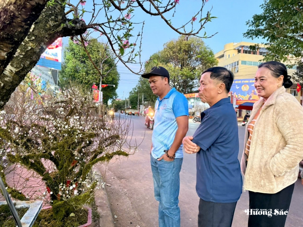 Đắk Lắk: Quảng trường 10/3 rộn ràng sắc xuân, nơi hội tụ hương sắc đất trời Đắk Lắk: Quảng trường 10/3 rộn ràng sắc xuân, nơi hội tụ hương sắc đất trời