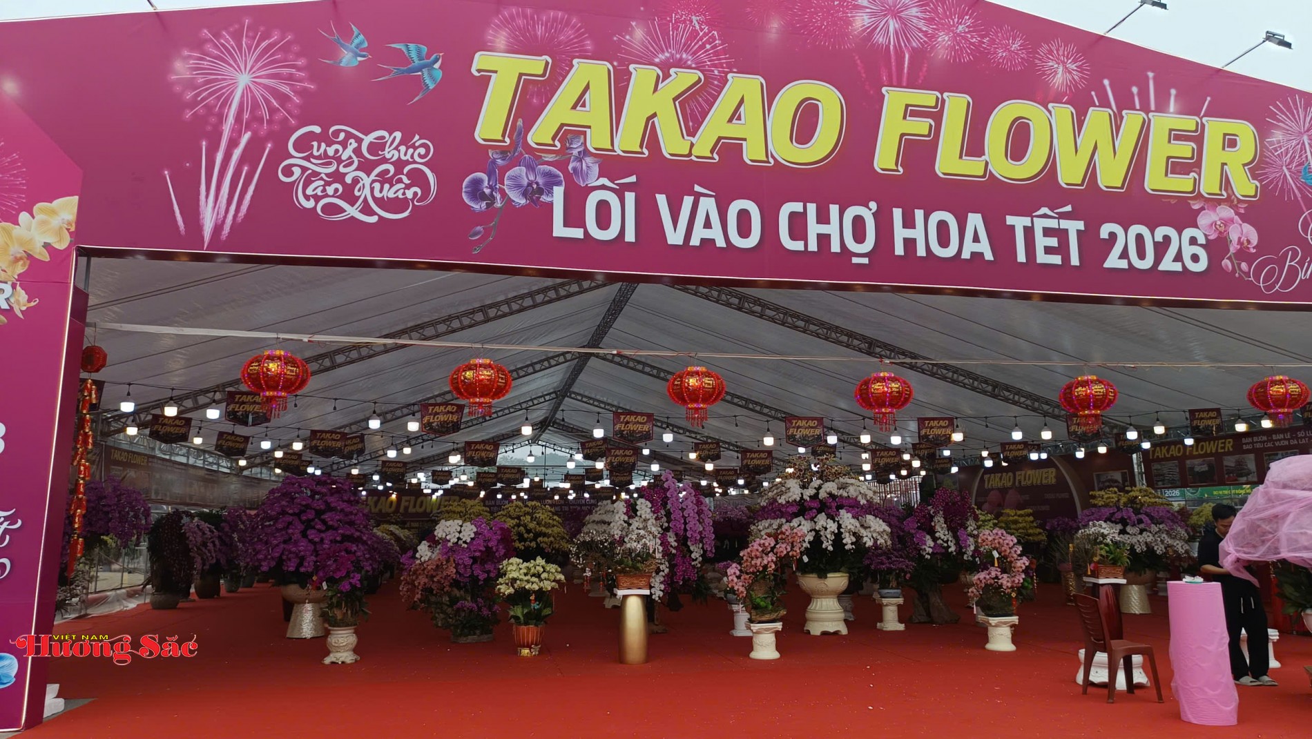 Thị trường hoa, cây cảnh Hà Nội sôi động trước Tết Nguyên đán Bính Ngọ 2026