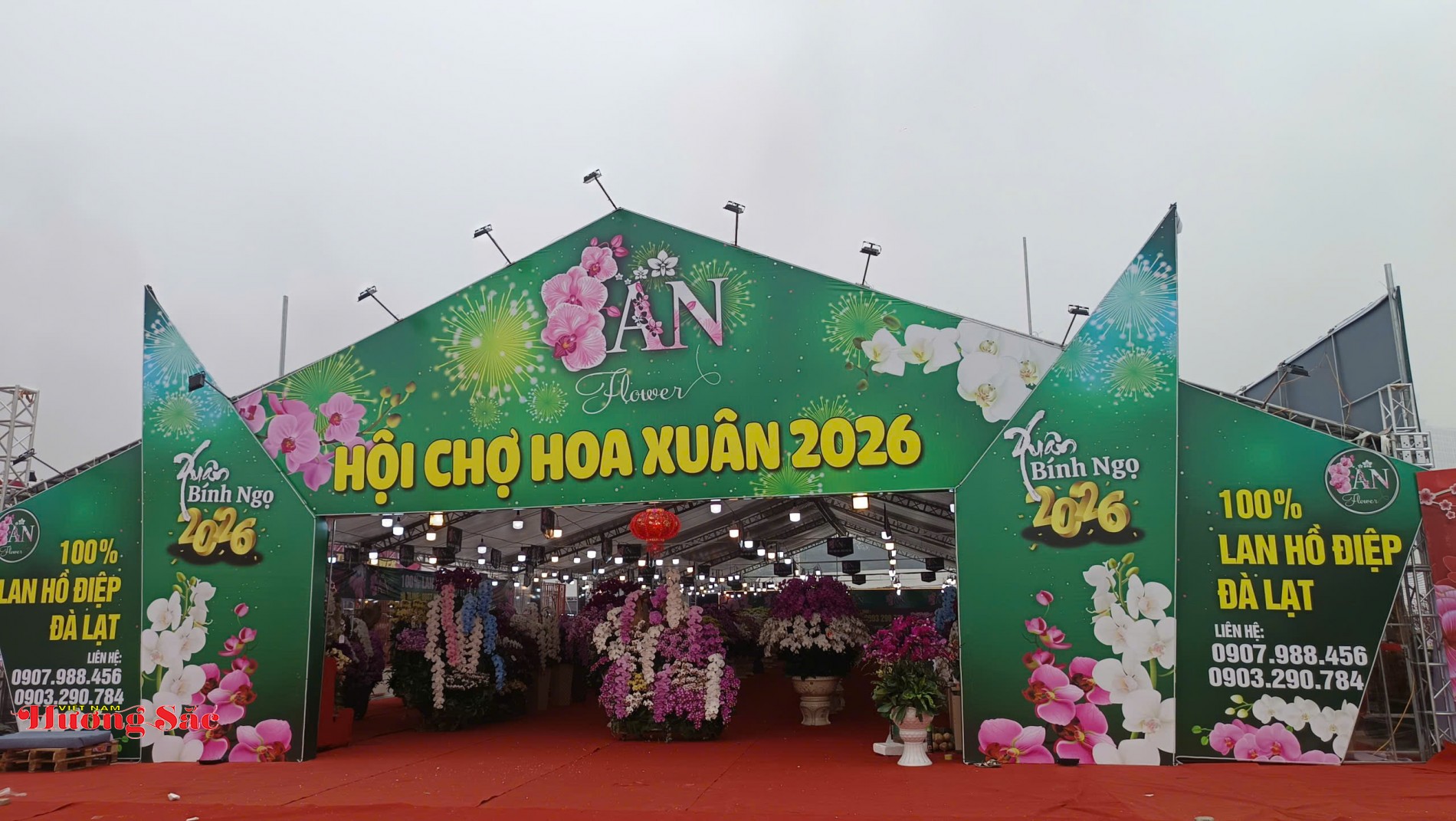 Thị trường hoa, cây cảnh Hà Nội sôi động trước Tết Nguyên đán Bính Ngọ 2026