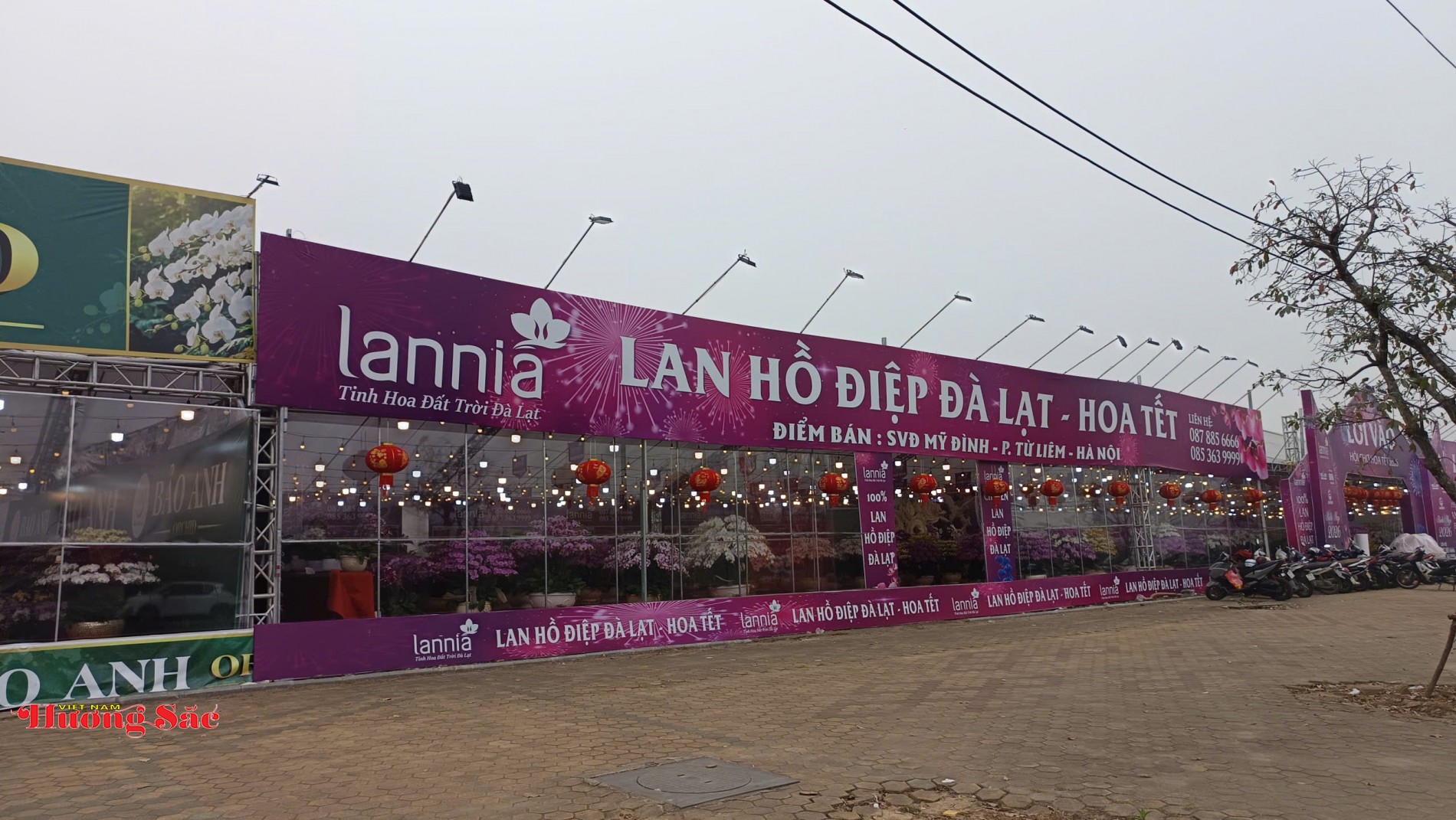 Thị trường hoa, cây cảnh Hà Nội sôi động trước Tết Nguyên đán Bính Ngọ 2026