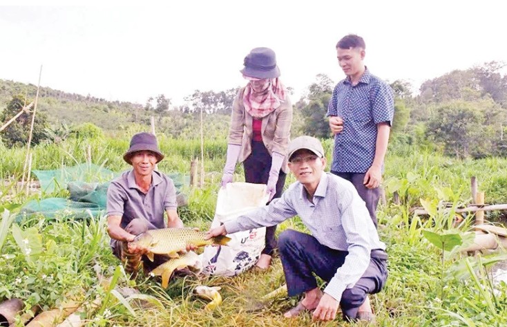 Nuôi cá “lạ” cho thịt giòn như tràng lợn: Hướng làm giàu mới ở Lâm Đồng Nuôi cá “lạ” cho thịt giòn như tràng lợn: Hướng làm giàu mới ở Lâm Đồng