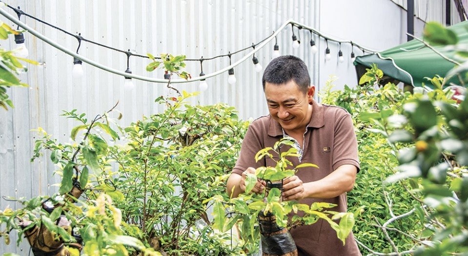 Nghệ nhân Phạm Duy, chủ quán cà phê sinh vật cảnh hướng dẫn kỹ năng tạo thế cây cảnh Nghệ nhân Phạm Duy, chủ quán cà phê sinh vật cảnh hướng dẫn kỹ năng tạo thế cây cảnh
