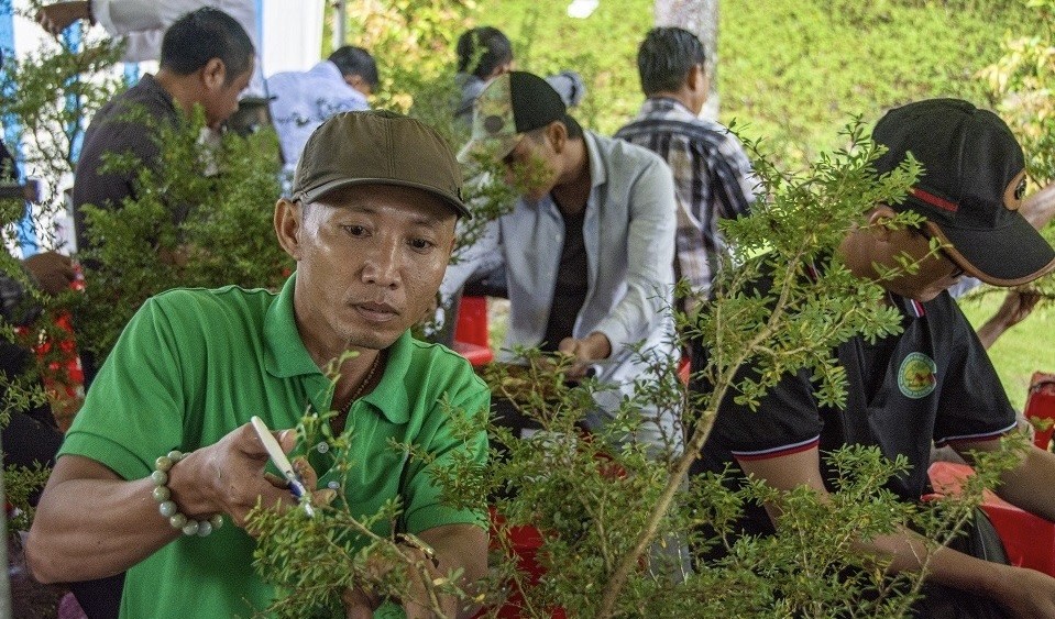 Các nghệ nhân trình diễn, cắt tỉa cây cảnh Các nghệ nhân trình diễn, cắt tỉa cây cảnh