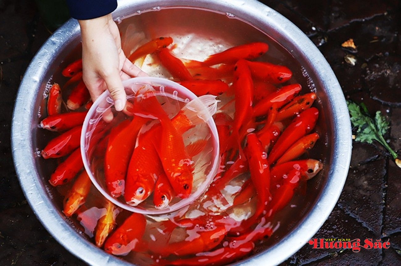 Người dân Hà Tĩnh rộn ràng sắm lễ tiễn ông Công, ông Táo về trời Người dân Hà Tĩnh rộn ràng sắm lễ tiễn ông Công, ông Táo về trời