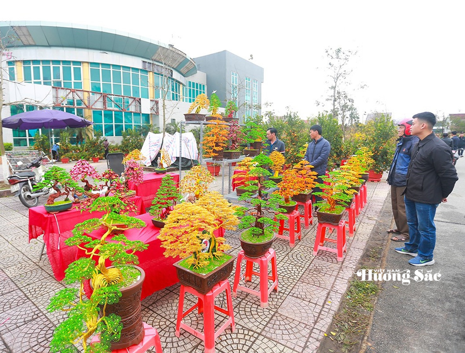 Hà Tĩnh: Biến sợi đồng thành “bonsai” nghệ thuật độc đáo Hà Tĩnh: Biến sợi đồng thành “bonsai” nghệ thuật độc đáo