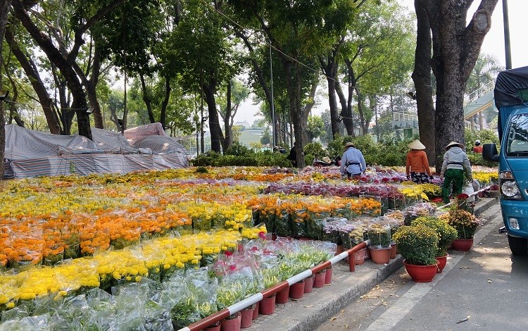 Thị trường hoa Tết: Những biến động âm thầm phía sau sắc xuân rực rỡ Thị trường hoa Tết: Những biến động âm thầm phía sau sắc xuân rực rỡ