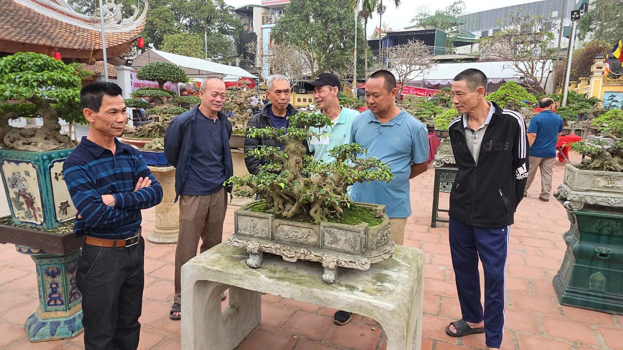 Hơn 200 tác phẩm cây cảnh nghệ thuật được trưng bày trong khuôn viên đình làng Hữu Bằng, xã Tây Phương, Hà Nội