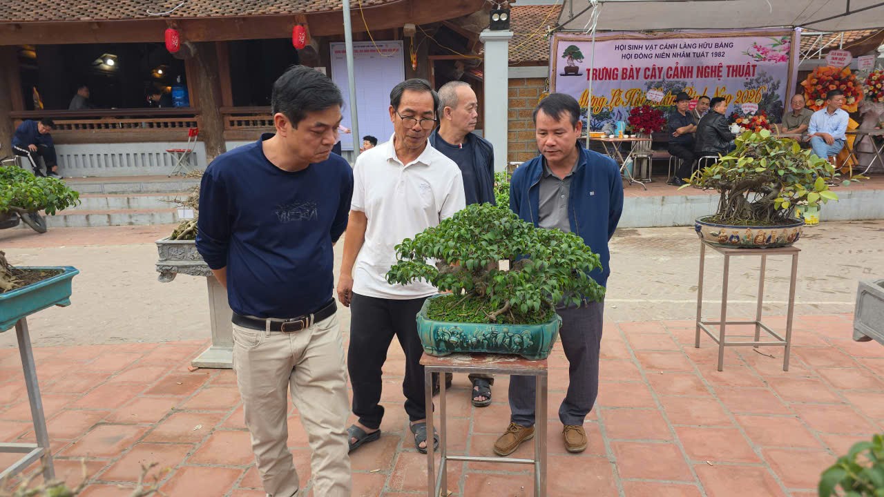 Hơn 200 tác phẩm cây cảnh nghệ thuật được trưng bày trong khuôn viên đình làng Hữu Bằng, xã Tây Phương, Hà Nội
