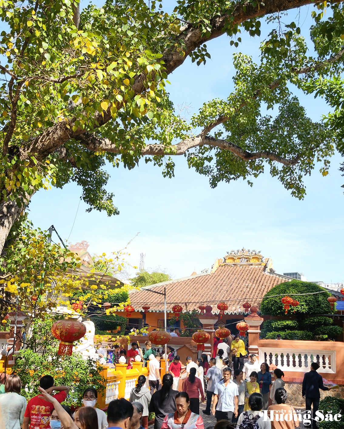 Tổ đình Giác Lâm: Hương xưa dưới bóng Bồ đề cổ thụ