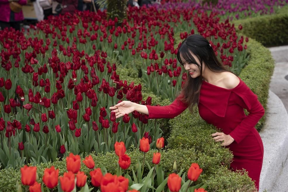 Chị Hạnh Sa, du khách đến từ Hà Nội chi sẻ: Những vườn hoa hút hồn du khách trên đỉnh Bà Nà Hills