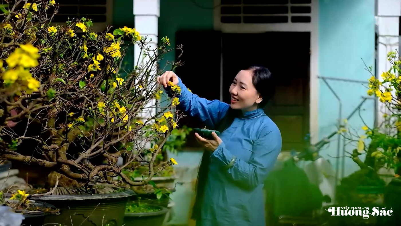 Huế: Thưởng trà Hoàng mai, nhâm nhi vị xuân Tết Bính Ngọ