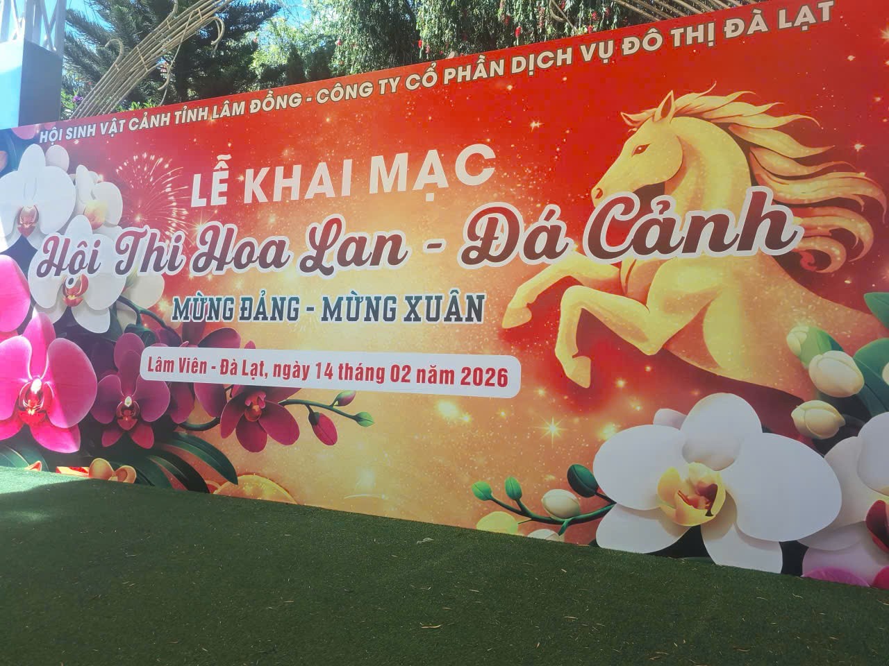 Giữa ngàn hoa Đà Lạt, “ốc đảo trầm mặc” của đá cảnh nguyên bản Suiseki Giữa ngàn hoa Đà Lạt, “ốc đảo trầm mặc” của đá cảnh nguyên bản Suiseki