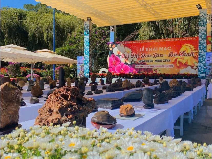 Giữa ngàn hoa Đà Lạt, “ốc đảo trầm mặc” của đá cảnh nguyên bản Suiseki Giữa ngàn hoa Đà Lạt, “ốc đảo trầm mặc” của đá cảnh nguyên bản Suiseki