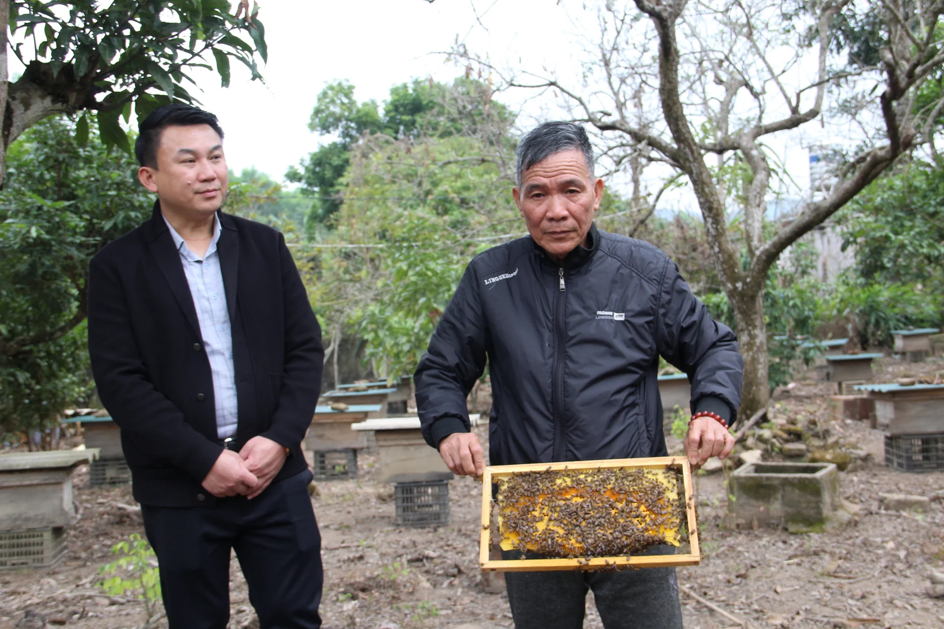 Trên vườn ong bay rợp, dưới ao ba ba “ăn đêm”: Lão nông xứ Lạng thu trăm triệu mỗi năm Trên vườn ong bay rợp, dưới ao ba ba “ăn đêm”: Lão nông xứ Lạng thu trăm triệu mỗi năm