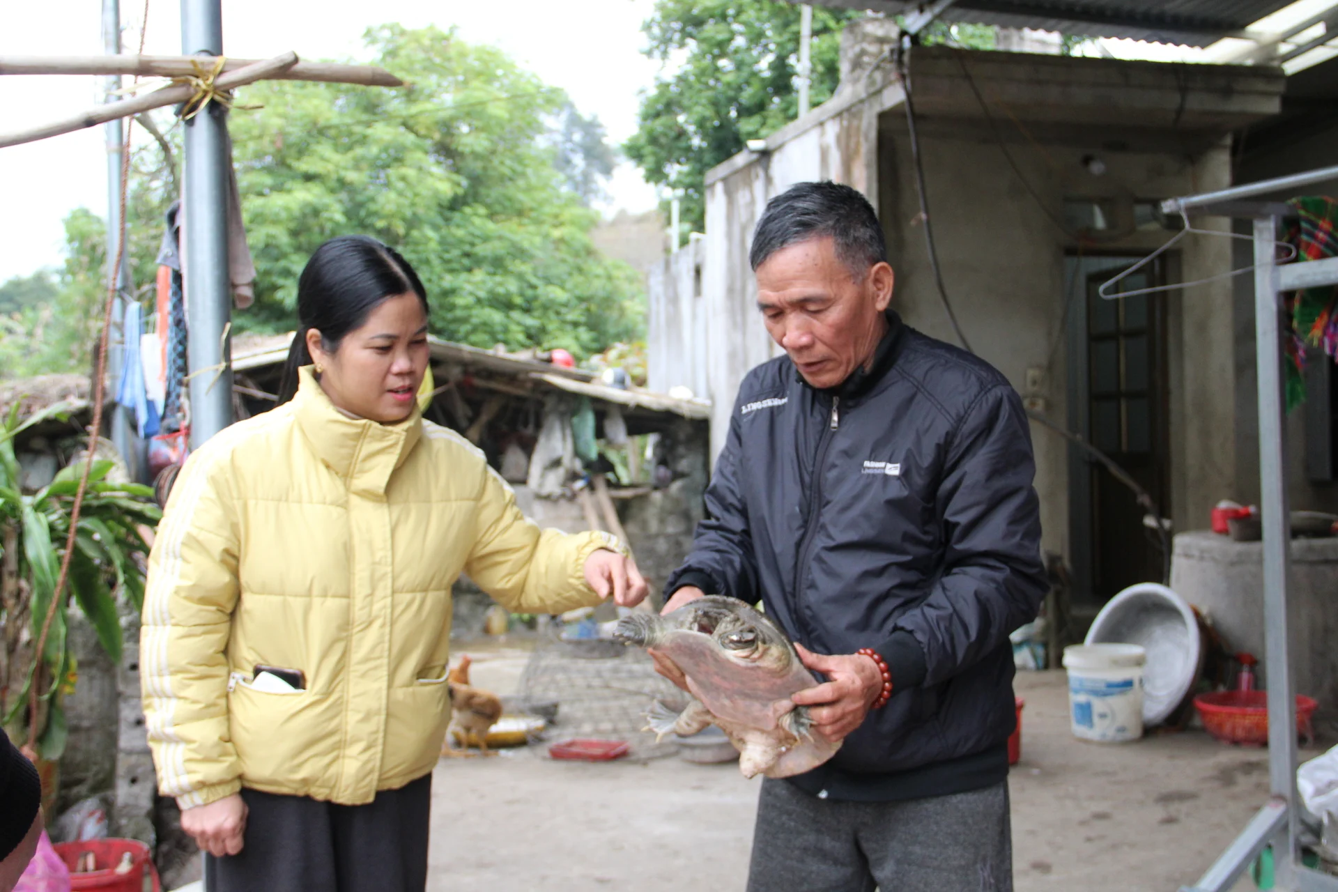 Trên vườn ong bay rợp, dưới ao ba ba “ăn đêm”: Lão nông xứ Lạng thu trăm triệu mỗi năm Trên vườn ong bay rợp, dưới ao ba ba “ăn đêm”: Lão nông xứ Lạng thu trăm triệu mỗi năm