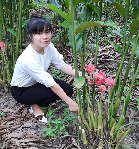 Sen đa lộc Bàu Bàng: Từ khát vọng của người phụ nữ đến mô hình kinh tế sinh vật cảnh đa giá trị Sen đa lộc Bàu Bàng: Từ khát vọng của người phụ nữ đến mô hình kinh tế sinh vật cảnh đa giá trị