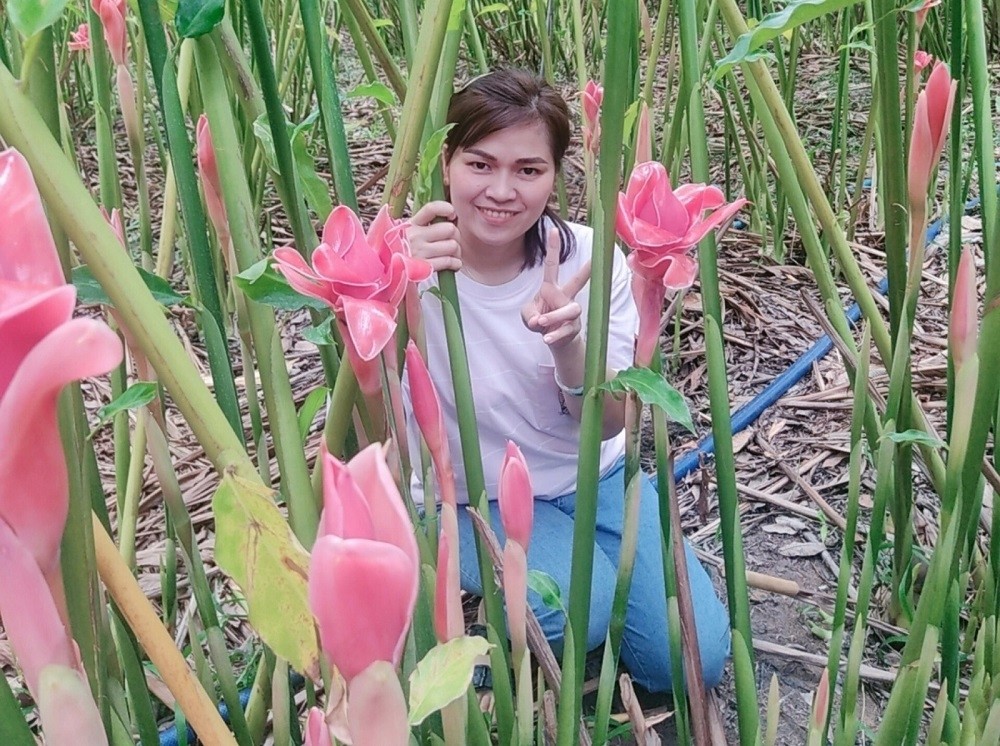 Sen đa lộc Bàu Bàng: Từ khát vọng của người phụ nữ đến mô hình kinh tế sinh vật cảnh đa giá trị Sen đa lộc Bàu Bàng: Từ khát vọng của người phụ nữ đến mô hình kinh tế sinh vật cảnh đa giá trị