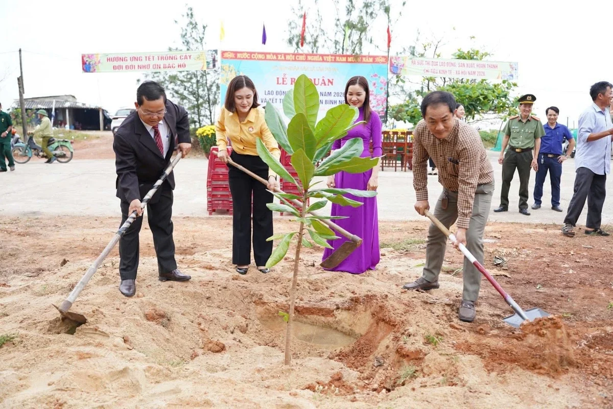 Quảng Ngãi trồng 130 cây dừa và bàng vuông ven biển đầu xuân 2026 Quảng Ngãi trồng 130 cây dừa và bàng vuông ven biển đầu xuân 2026