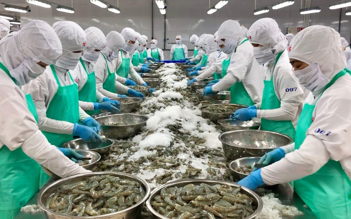 Việt Nam là nguồn cung thủy sản lớn thứ ba của Trung Quốc Việt Nam là nguồn cung thủy sản lớn thứ ba của Trung Quốc