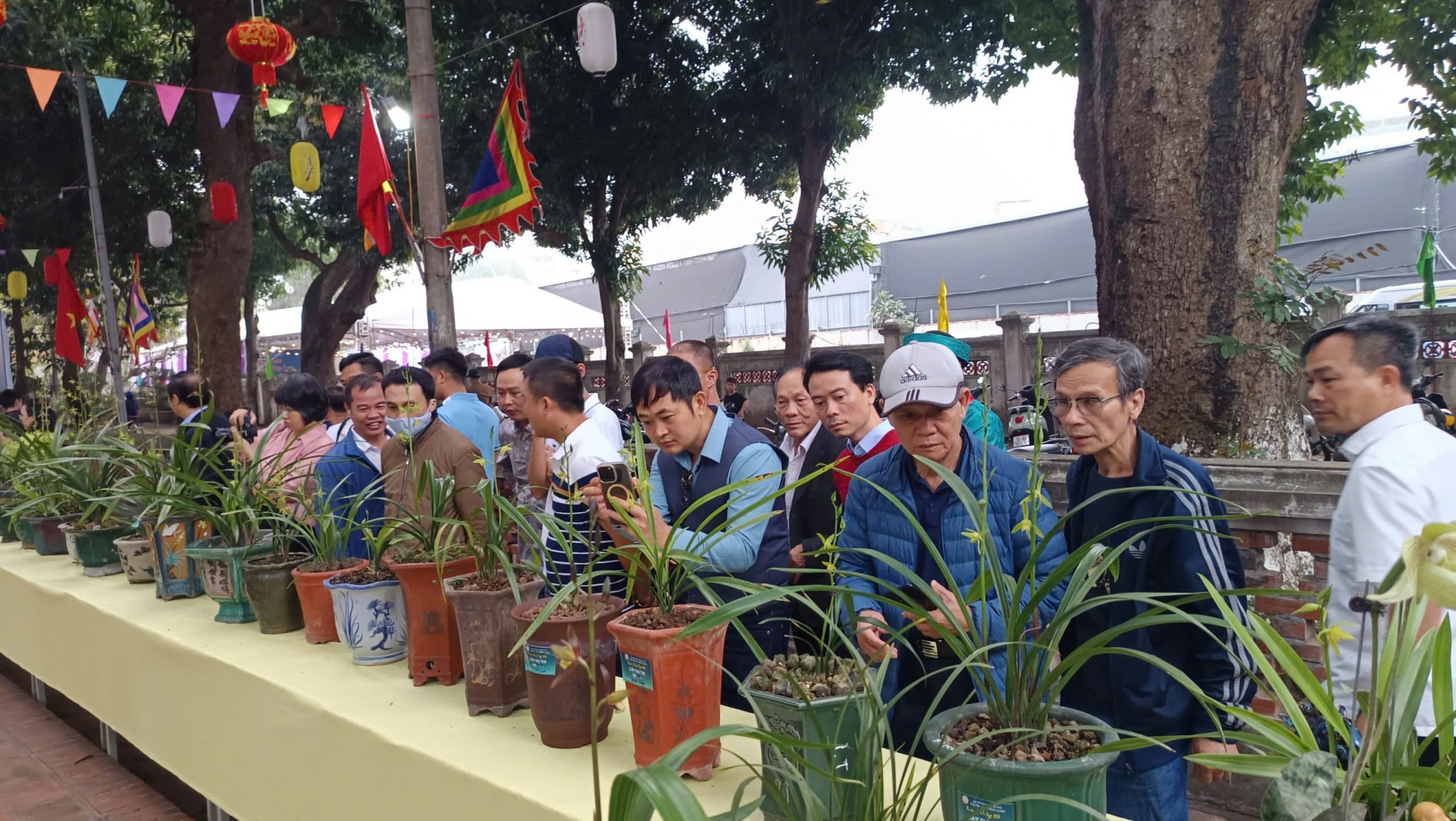 Hội thi Địa Lan Thăng Long 2026: Từ thú chơi tao nhã đến bài toán phát triển ngành lan Việt Nam