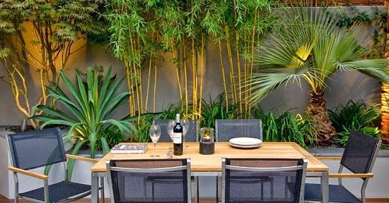 Phong thủy sân vườn: Vì sao vị trí trồng tre ảnh hưởng đến vận khí ngôi nhà? Phong thủy sân vườn: Vì sao vị trí trồng tre ảnh hưởng đến vận khí ngôi nhà?