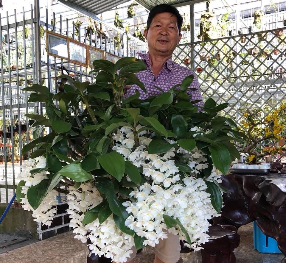 Nhà vườn Bùi Việt và những giò lan rừng đang khoe sắc thắm Nhà vườn Bùi Việt và những giò lan rừng đang khoe sắc thắm