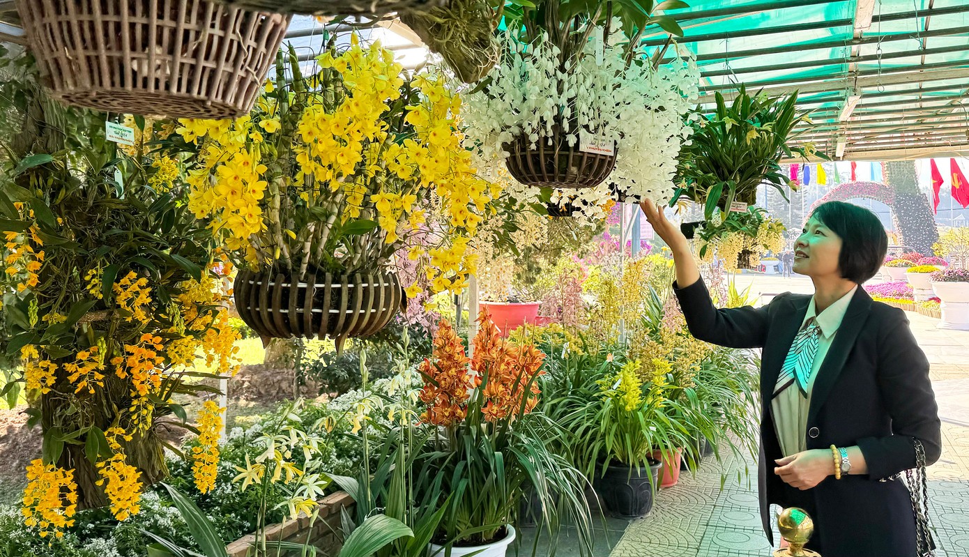 Du khách chiêm ngưỡng những gió lan rừng tại triển lã Du khách chiêm ngưỡng những gió lan rừng tại triển lã