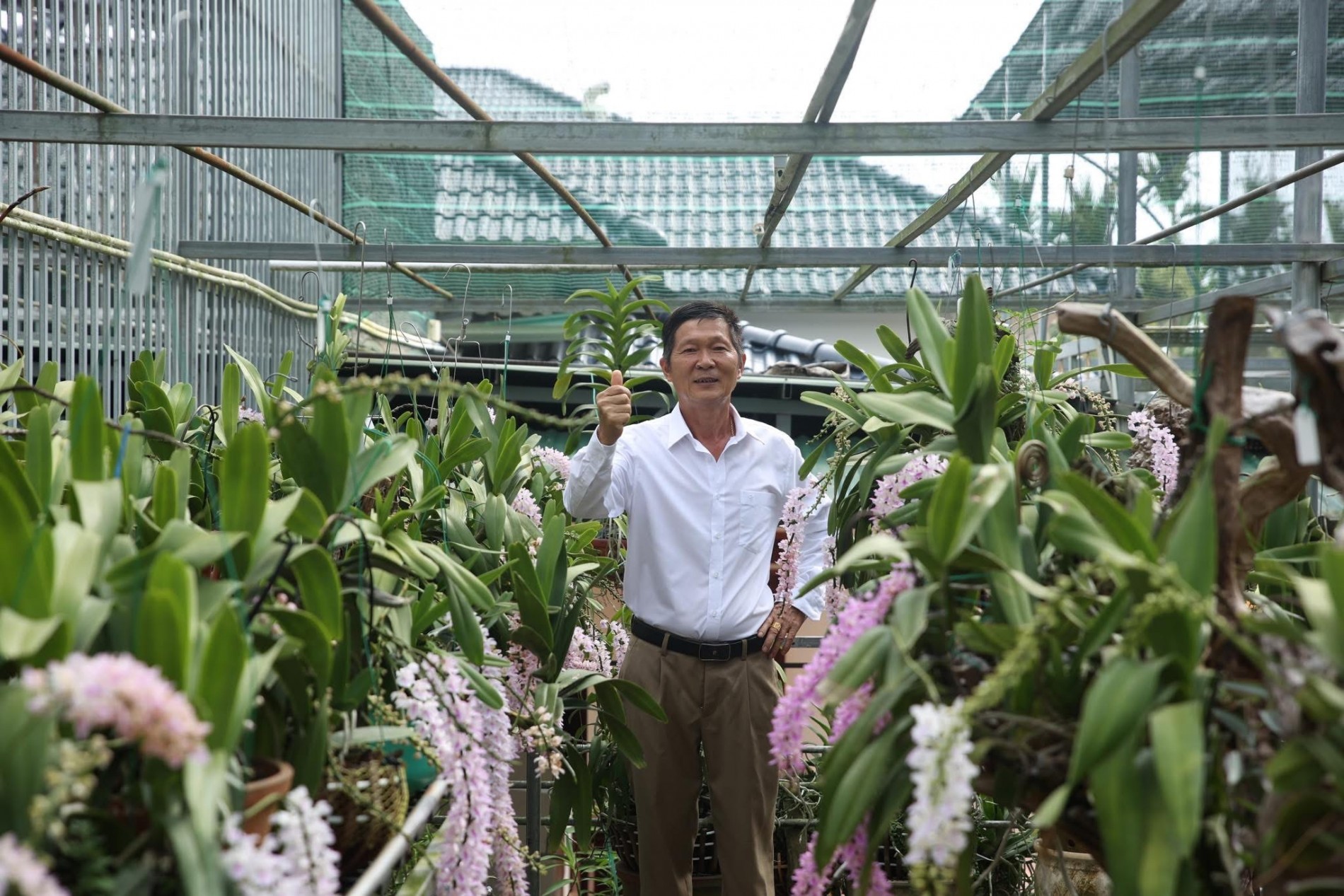 Khu bảo tồn lan Bùi Việt mùa nào cũng ngát hương lan rừng Khu bảo tồn lan Bùi Việt mùa nào cũng ngát hương lan rừng